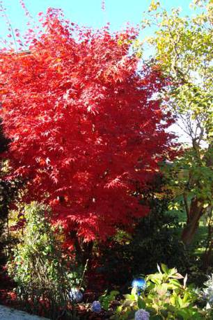 Imagen de la habitación del Apartamentos Landhaus Bachler. Foto 14