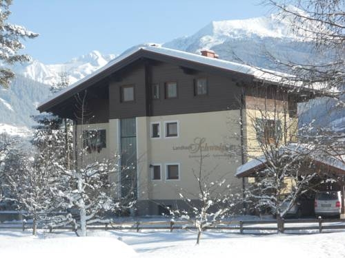 Imagen general del Apartamentos Landhaus Schwaiger. Foto 9