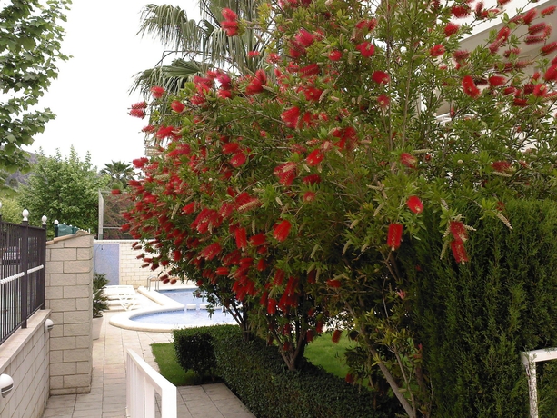 Imagen de la piscina del Apartamentos Las Terrazas Del Albir. Foto 15