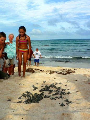 Imagen de los exteriores del Apartamentos Las Villas Akumal. Foto 12