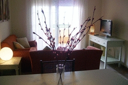 Imagen de la habitación del Apartamentos Leo Las Garzas. Foto 4