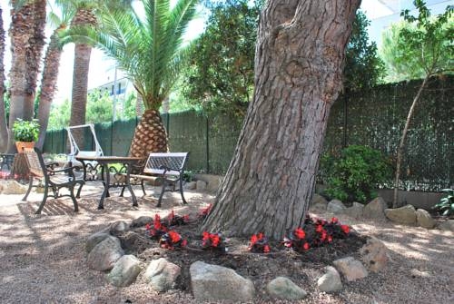 Imagen general del Apartamentos Les Palmeres. Foto 4