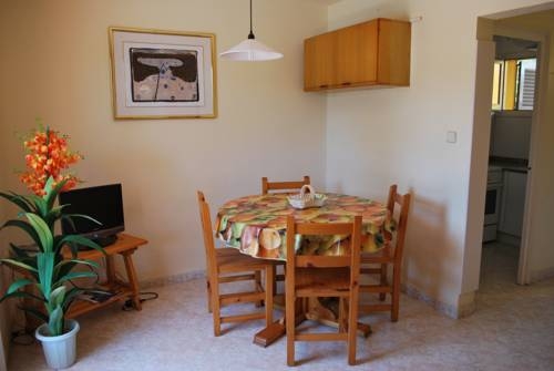 Imagen general del Apartamentos Les Palmeres, Playa de Aro. Foto 6