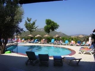 Imagen de la piscina del Apartamentos Litera Seyir. Foto 5
