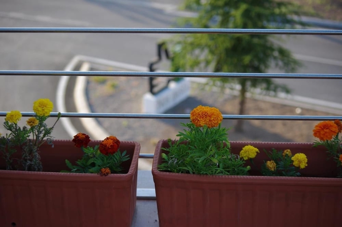 Imagen de la habitación del Apartamentos Llave De Granada. Foto 19