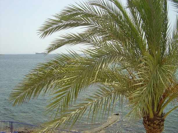 Imagen de los exteriores del Apartamentos Llevant, Figueretas. Foto 6