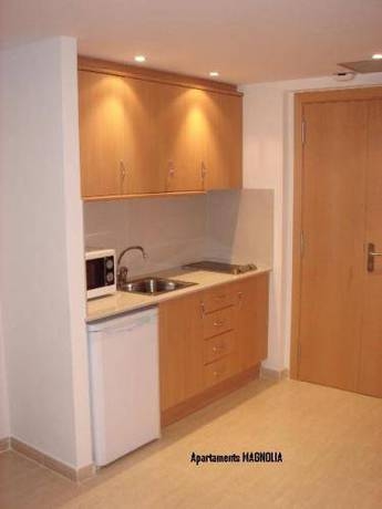 Imagen general del Apartamentos Lloveras. Foto 7