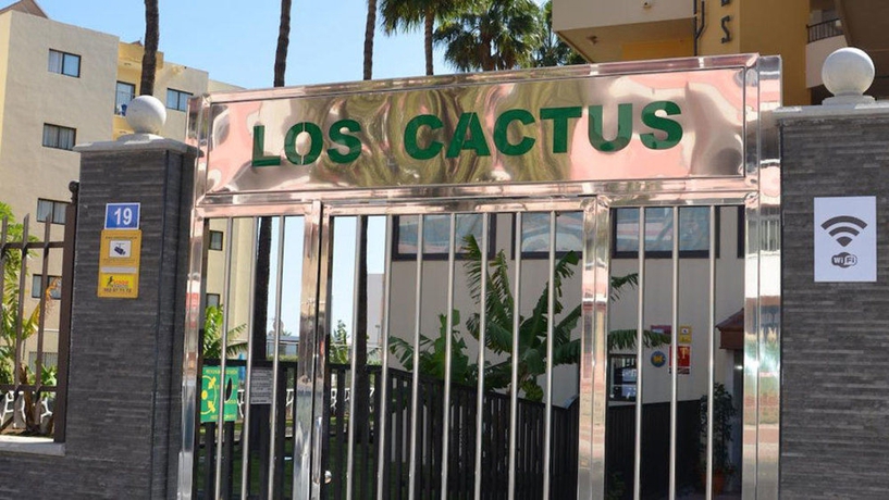 Imagen general del Apartamentos Los Cactus, Playa del Ingles. Foto 1