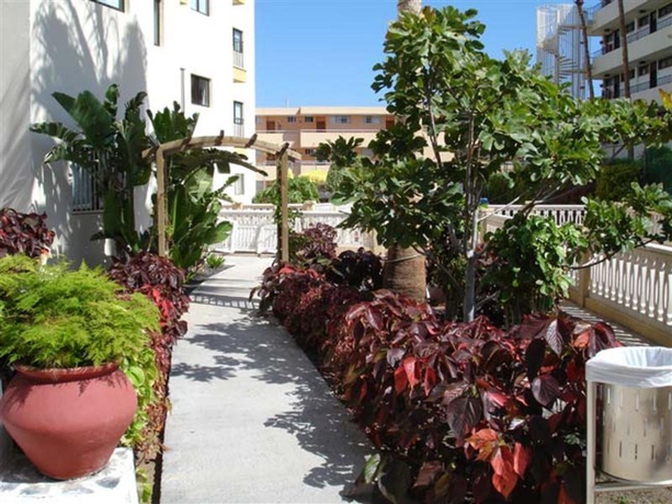 Imagen general del Apartamentos Los Ficus. Foto 12