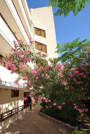 Imagen general del Apartamentos Los Juncos I. Foto 8