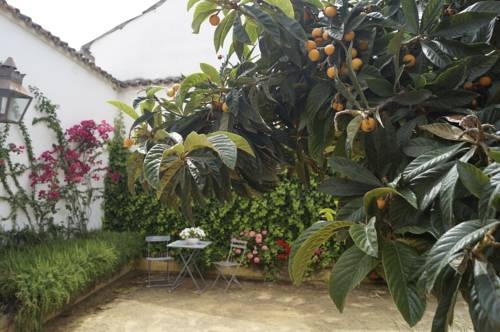 Imagen general del Apartamentos Los Patios De La Judería. Foto 3