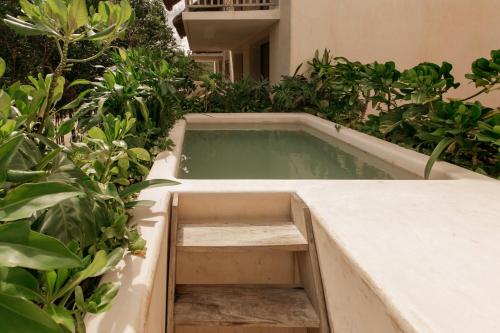 Imagen de los exteriores del Apartamentos Lumina At Losantos Tulum. Foto 12