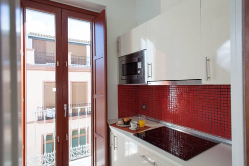 Imagen general del Apartamentos Luxury Apartments Seville Center. Foto 15