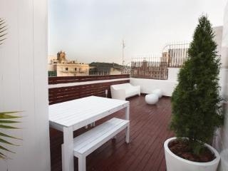 Imagen general del Apartamentos Luxury Centic Penthouse Terraces. Foto 6