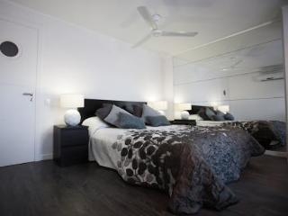 Imagen general del Apartamentos Luxury Centic Penthouse Terraces. Foto 7