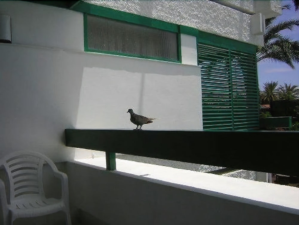 Imagen de la habitación del Apartamentos Maba Playa. Foto 16