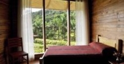 Imagen de la habitación del Apartamentos Macaw Lodge. Foto 2