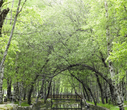 Imagen de los exteriores del Apartamentos Madre De Água Hotel Rural De Charme. Foto 12