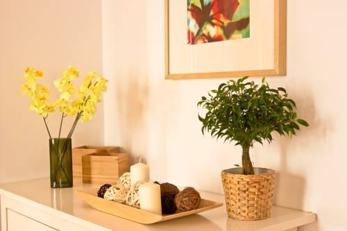 Imagen general del Apartamentos Madrid, Barrio de las Letras. Foto 7