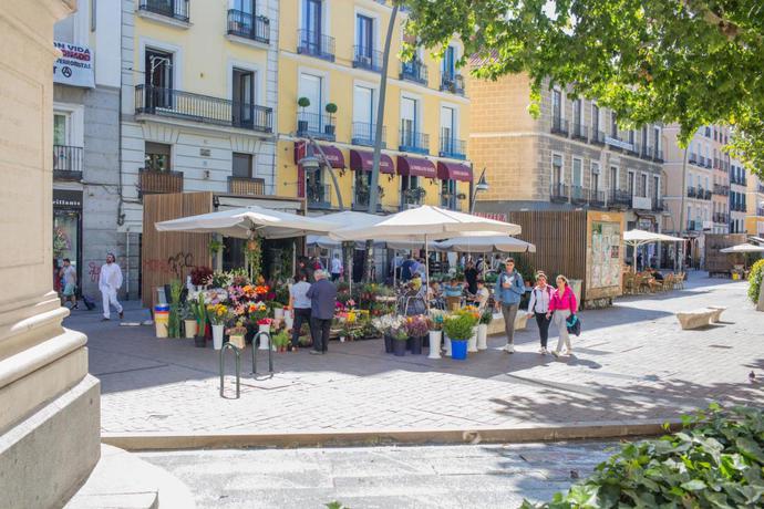 Imagen de los exteriores del Apartamentos Madrid Centro. Foto 8