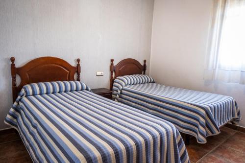 Imagen general del Apartamentos Majadales de Roche. Foto 15