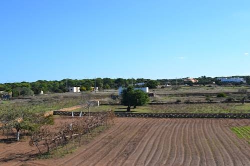Imagen general del Apartamentos Marcelino - Formentera Break. Foto 6