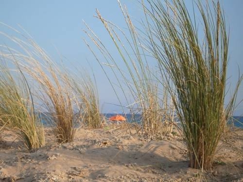 Imagen general del Apartamentos Marfina. Foto 15