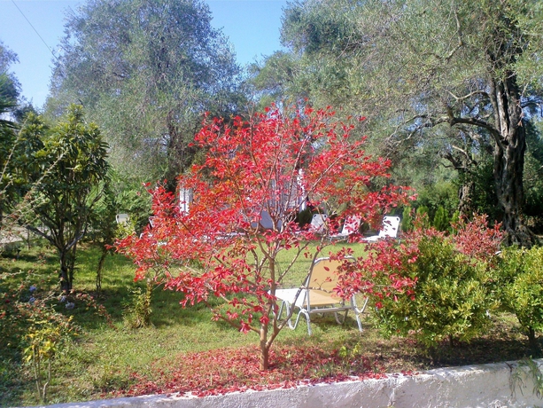 Imagen de los exteriores del Apartamentos Marilena Apartments and Studios. Foto 16