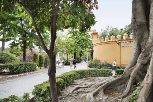 Imagen general del Apartamentos Mariscal. Foto 6