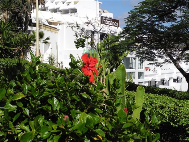 Imagen general del Apartamentos Mocanes. Foto 5