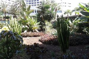 Imagen general del Apartamentos Monterrey, Playa del Inglés. Foto 3