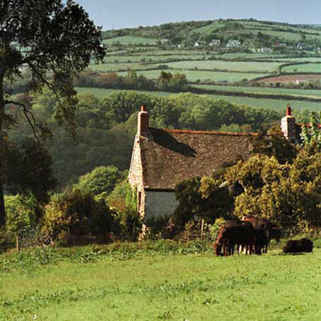 Imagen de los exteriores del Apartamentos Mudgeon Vean Farm Holiday Cottages. Foto 12