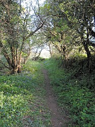 Imagen de los exteriores del Apartamentos Mudgeon Vean Farm Holiday Cottages. Foto 13