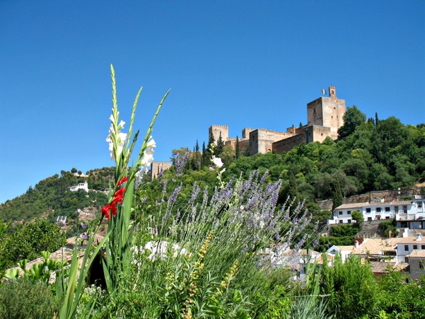 Imagen de los exteriores del Apartamentos Muralla Zirí. Foto 9