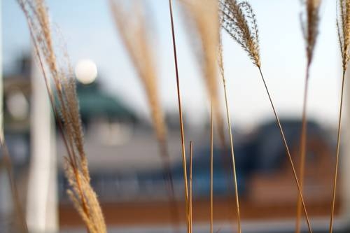 Imagen de la habitación del Apartamentos My Home In Vienna- Smart - Leopoldstadt. Foto 5