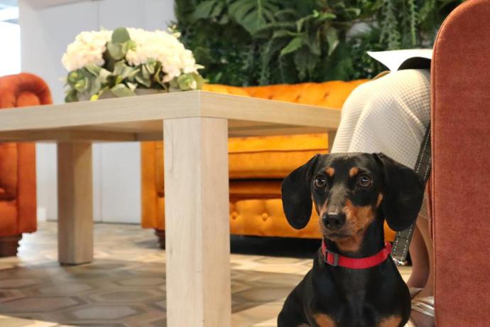 Imagen de los interiores del Apartamentos Neptuno, Calella. Foto 15