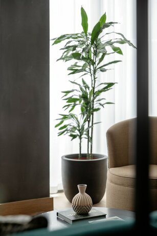 Imagen de los interiores del Apartamentos Niche Living - Dun Laoghaire. Foto 11