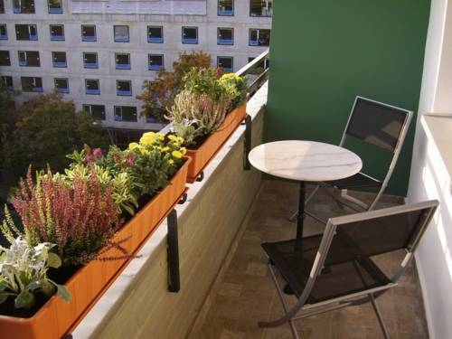 Imagen general del Apartamentos Nikol. Foto 5