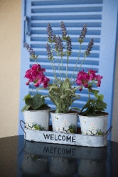 Imagen de la habitación del Apartamentos Nina Pansion. Foto 12