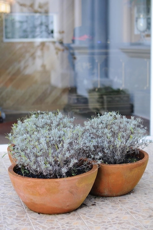 Imagen general del Apartamentos Noray, Argoños. Foto 3