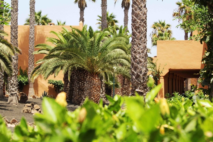 Imagen de los exteriores del Apartamentos Oasis Dunas. Foto 9