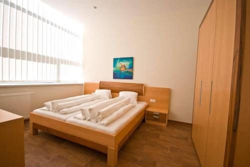 Imagen general del Apartamentos Obernosterer. Foto 24