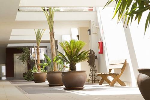 Imagen general del Apartamentos Oliastur. Foto 8