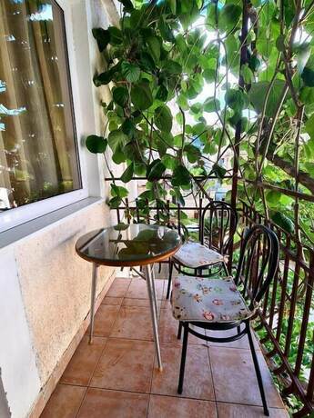 Imagen general del Apartamentos Olive Garden Apartments Petrovic. Foto 4