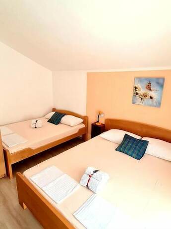 Imagen de la habitación del Apartamentos Olive Garden Apartments Petrovic. Foto 19