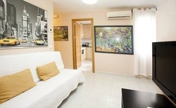 Imagen general del Apartamentos Olmo. Foto 9