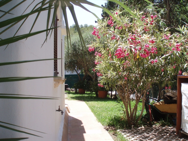 Imagen de los exteriores del Apartamentos Osa Menor. Foto 7