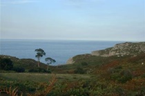 Imagen general del Apartamentos Ovio. Foto 2