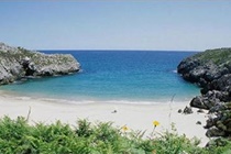 Imagen general del Apartamentos Ovio. Foto 8