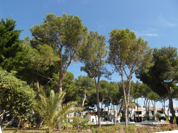 Imagen general del Apartamentos PLAYA PARK LAS BRISAS. Foto 9